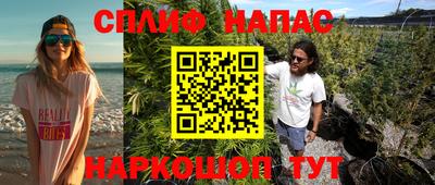 гашик Новозыбков