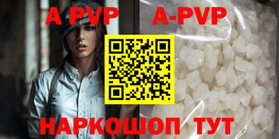 гашик Новозыбков