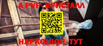 гашик Новозыбков