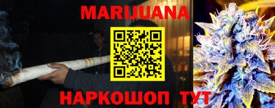 гашик Новозыбков