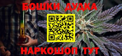 гашик Новозыбков