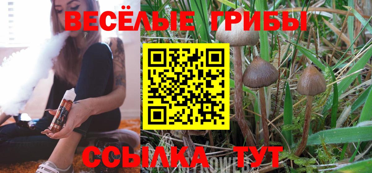 Псилоцибиновые грибы мухоморы Узловая