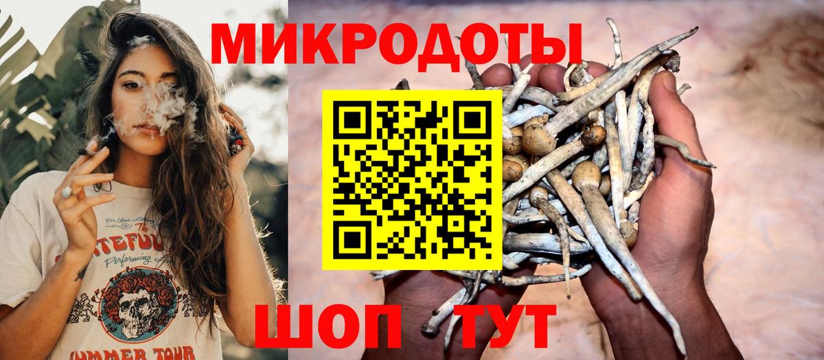 Псилоцибиновые грибы GOLDEN TEACHER  Вход с VPN  Узловая 